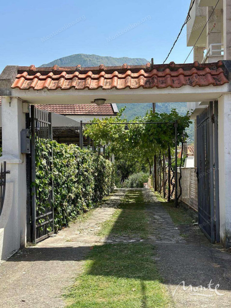 prostornyj semejnyj dom s bassejnom v bare 11