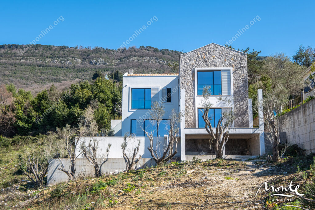 sovremennaya dizajnerskaya villa s bassejnom v tivate kavach 31