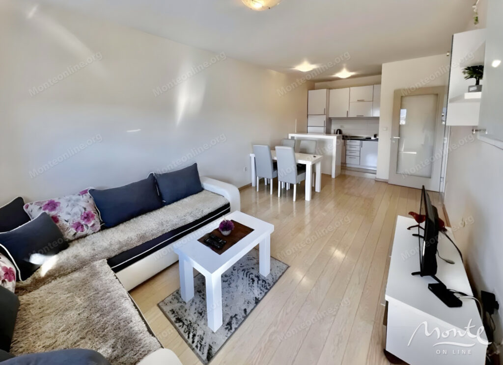 stilnaya kvartira s 1 spalnej v czentre podgoriczy 02