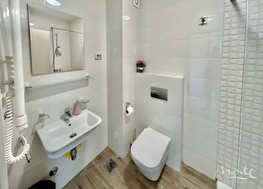 stilnaya kvartira s 1 spalnej v czentre podgoriczy 04