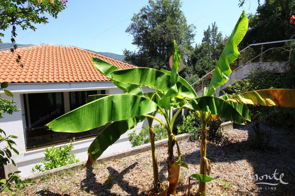 prostornyj 2 etazhnyj dom s bassejnom v herczeg novi 38