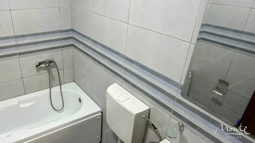 prostornaya kvartira s 2 spalnyami v sovremennom dome podgoricza 11