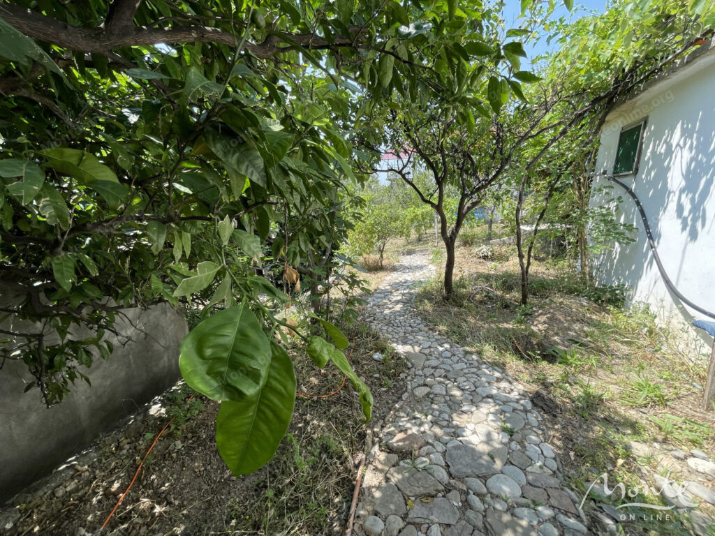 uchastok s tremya domami na holme otlichnaya vozmozhnost dlya zhizni i investiczij 36