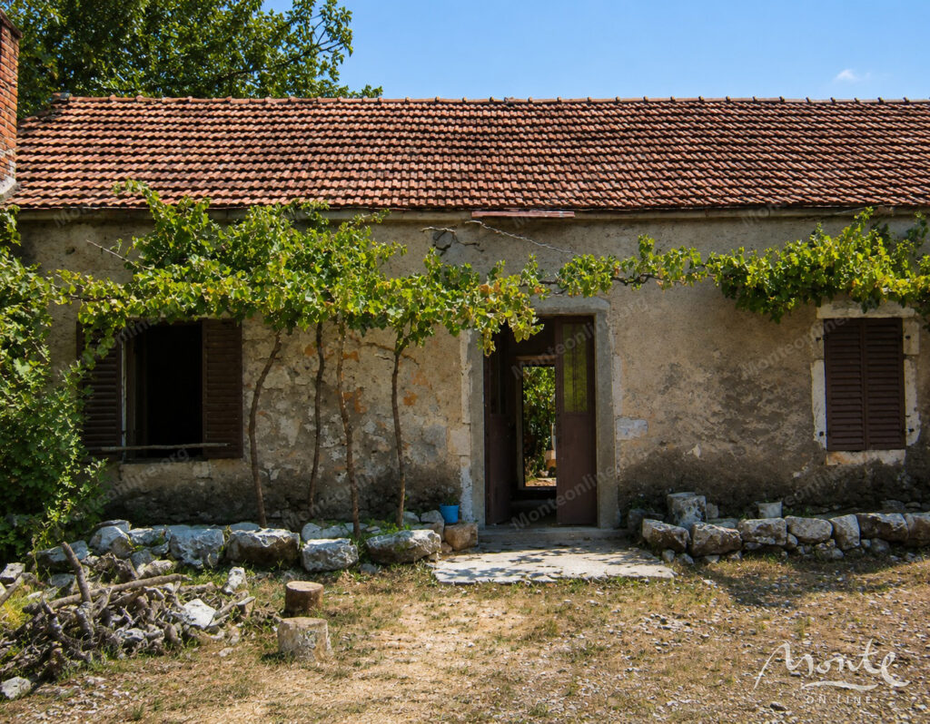bolshoj zemelnyj uchastok s panoramnym vidom na podgoriczu dolyani 02