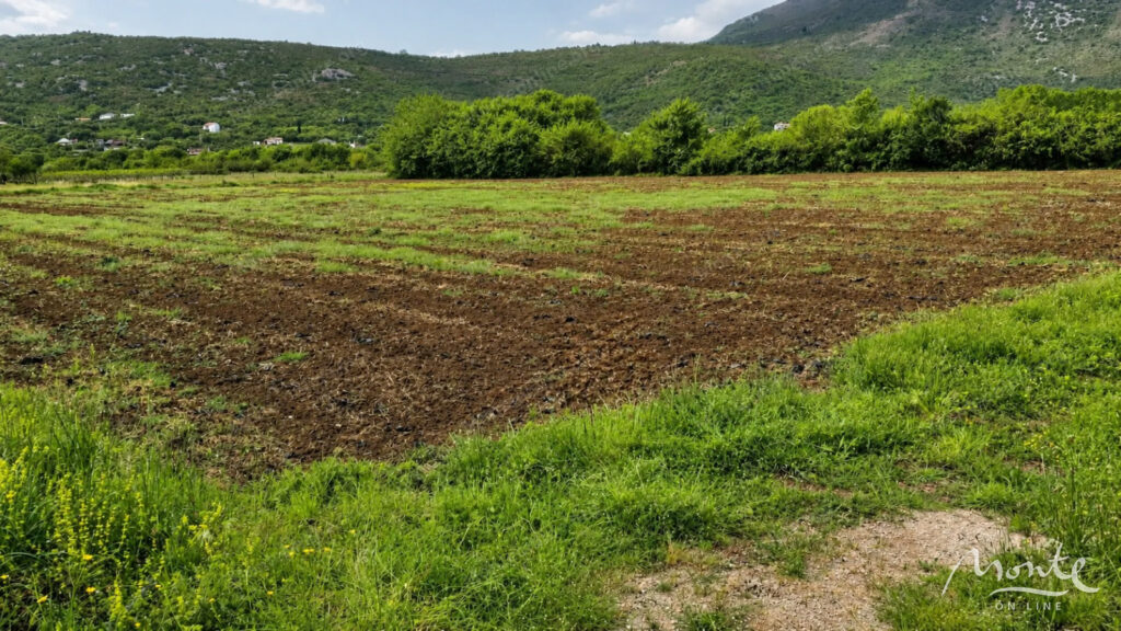 bolshoj zemelnyj uchastok v beri podgoricza 02