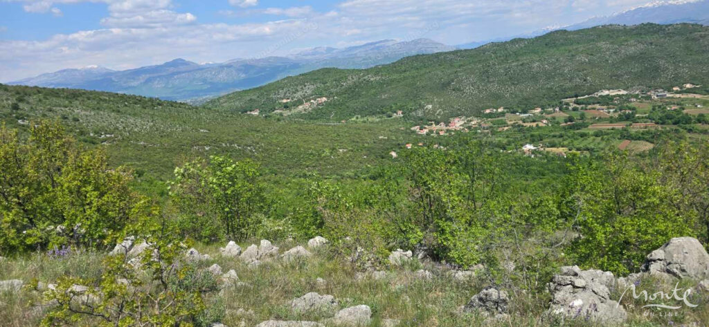 investiczionnyj zemelnyj massiv v beri podgoricza 01