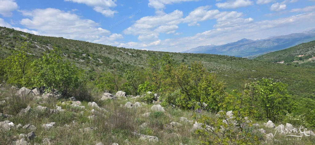 investiczionnyj zemelnyj massiv v beri podgoricza 03