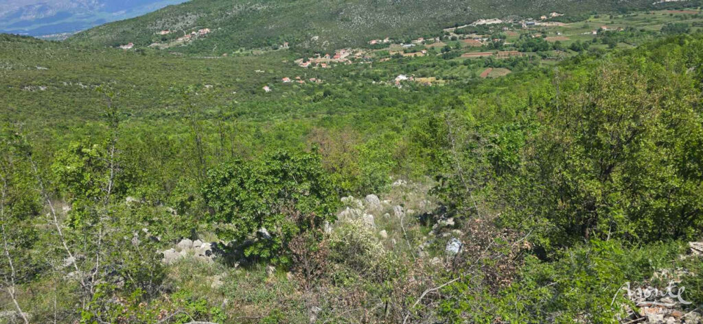 investiczionnyj zemelnyj massiv v beri podgoricza 07