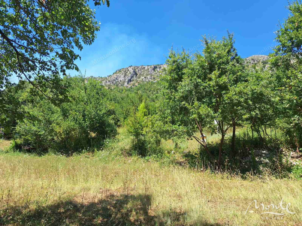 investiczionnyj zemelnyj massiv v beri podgoricza 08