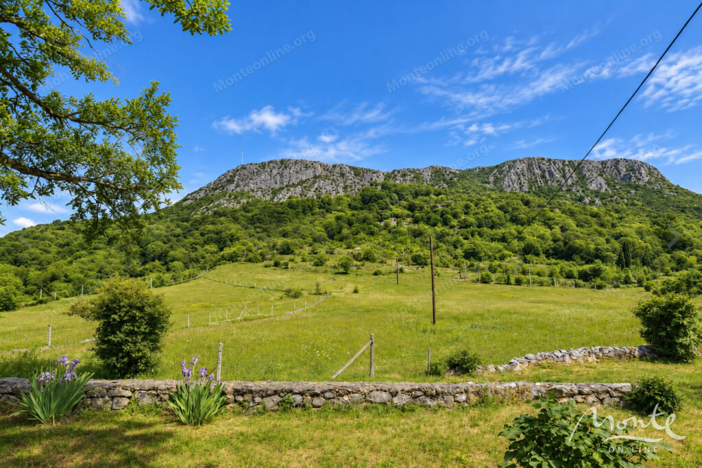 bolshoe imenie s tremya domami v 15 minutah ot czentra podgoriczy 04
