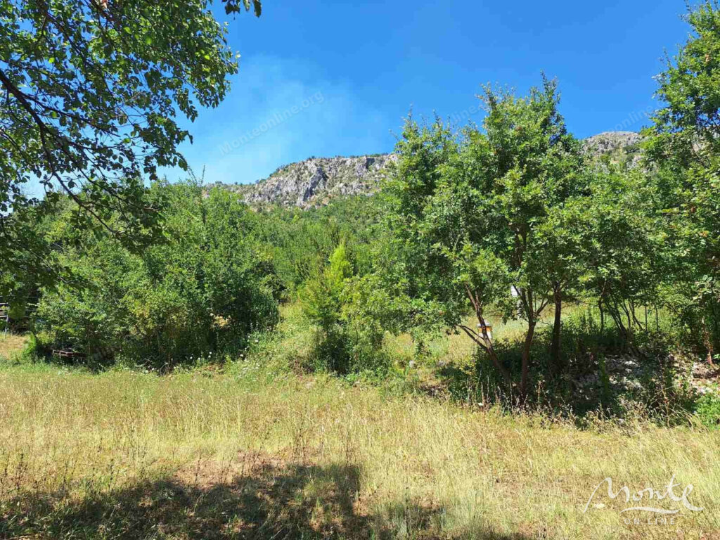bolshoj uchastok v 40 metrah ot reki zeta prichele 01