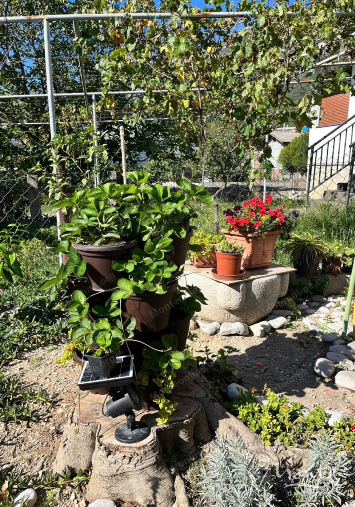 Two-story house with an orchard in Sutomore 29