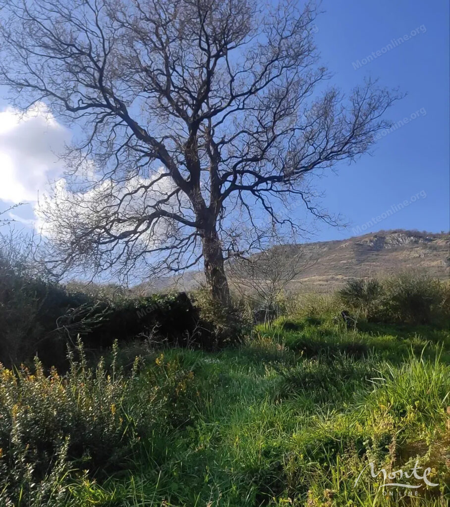 Investicijska parcela s panoramskim pogledom na zaljev u Kamenarima 04