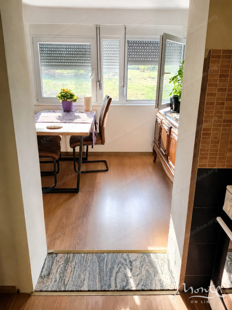 Family house with a spacious plot near Podgorica 09