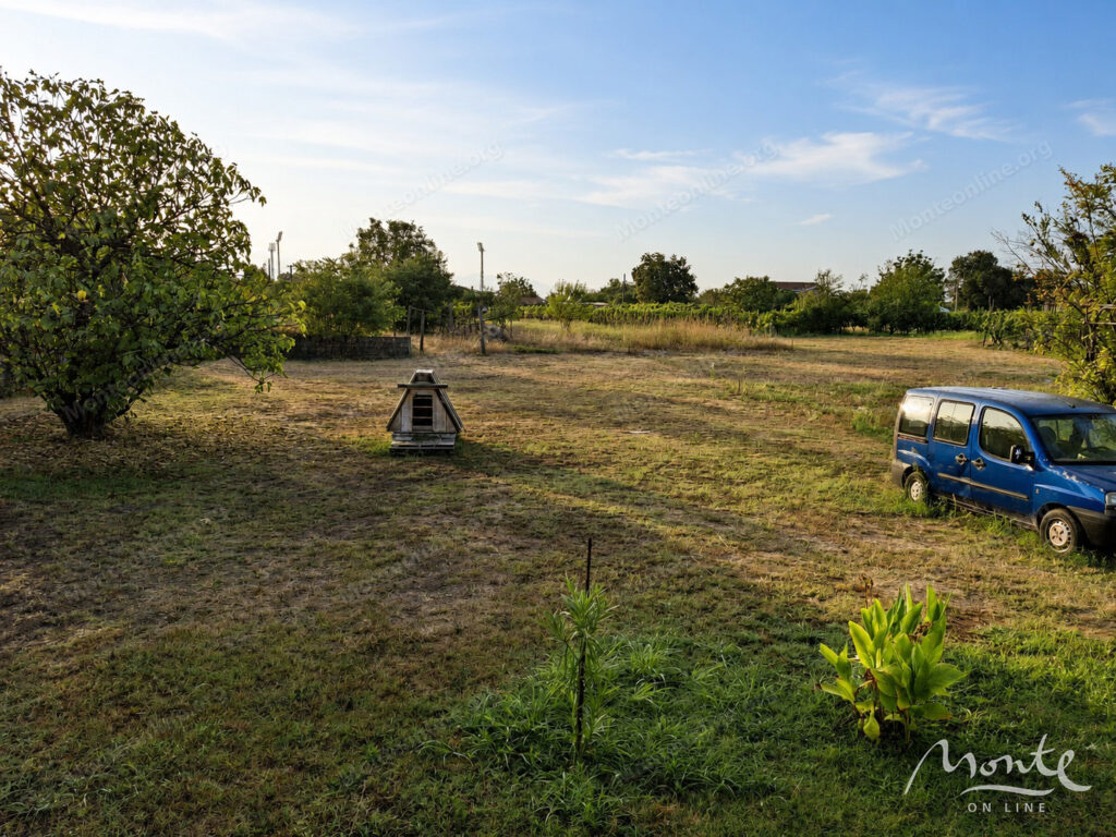 Family house with a spacious plot near Podgorica 18