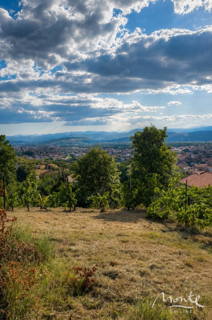 zemelnyj uchastok s vidom na podgoriczu v zelenom rajone dolyani 01