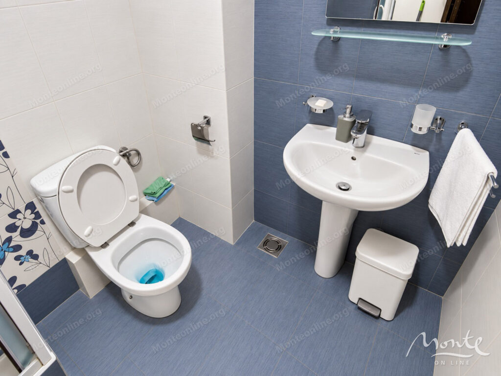 furnished apartment with 1 bedroom v rajone stari aerodrom podgoricza 07